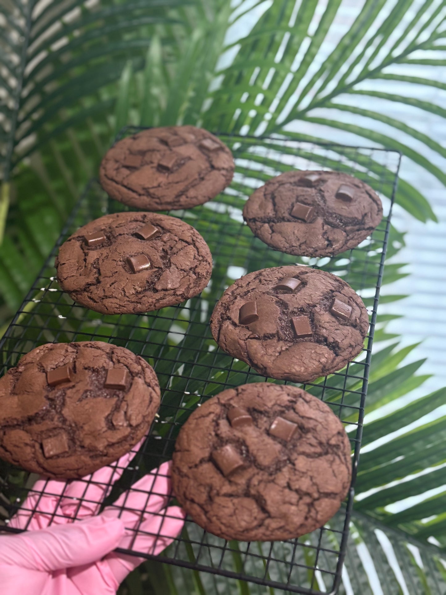 Double Chocolate Fudge Cookie